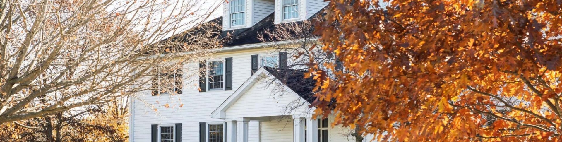 Heritage Color